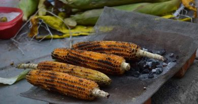 Menya akamaro ko kurya ibigori byokeje